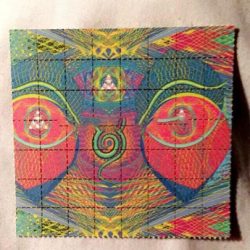 Teachers Gaze LSD