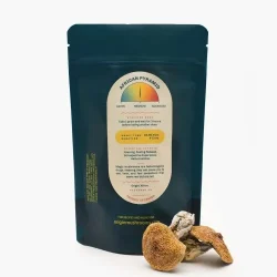African Pyramid Mushrooms For Sale