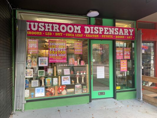 GPmDulyaEAABx24 - ShroomCulinary